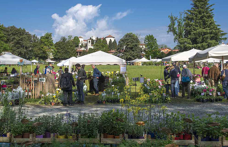 Tre Giorni per il Giardino: l'edizione autunnale 2023 all'insegna degli Alberi