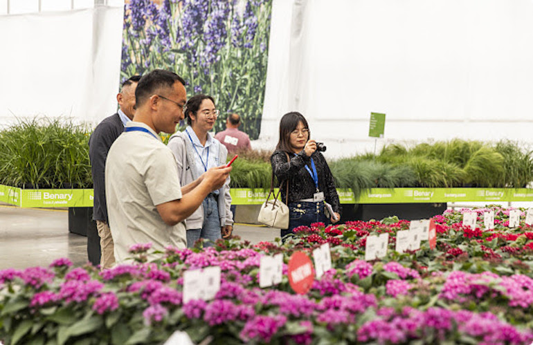Oltre 5300 visitatori ai FlowerTrials 2024