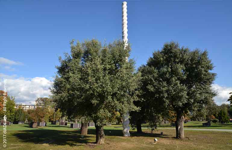 Floraviva, Nursery Park