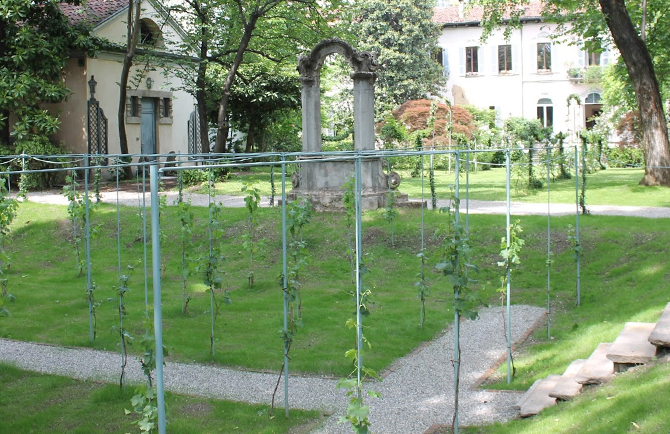 vigna di leonardo