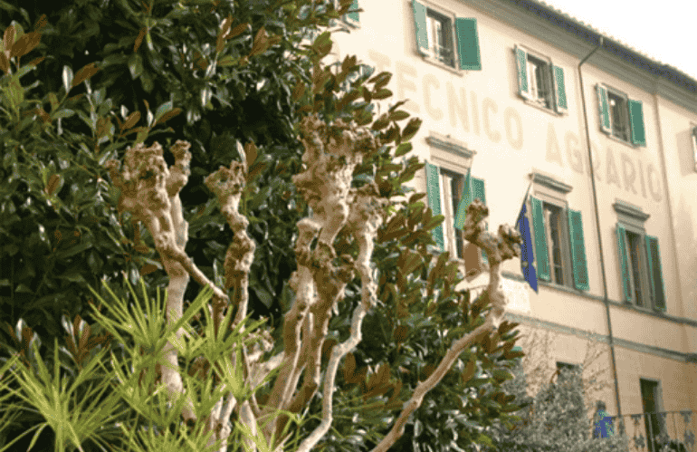 BORSA DI STUDIO BATONI E CONVEGNO SUL FLOROVIVAISMO ALL’ANZILOTTI DI PESCIA