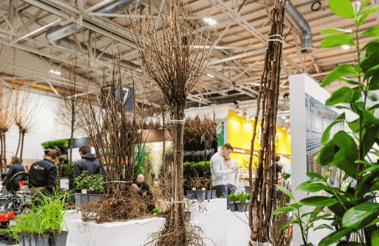 wood arena ipm essen