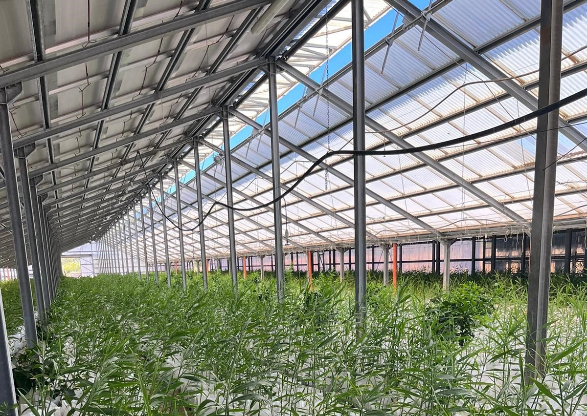 Agrivoltaico talia