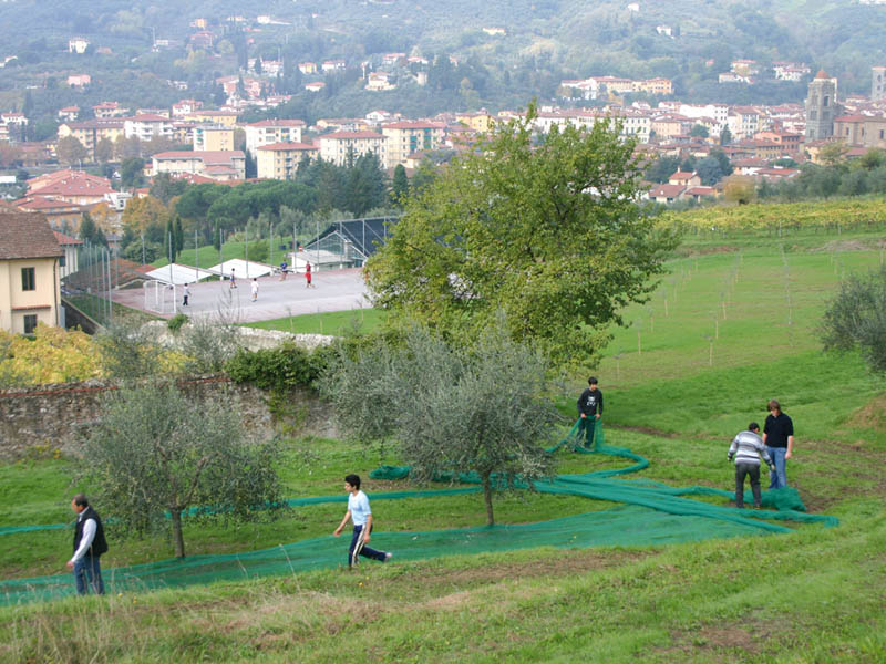Agrario pescia_38