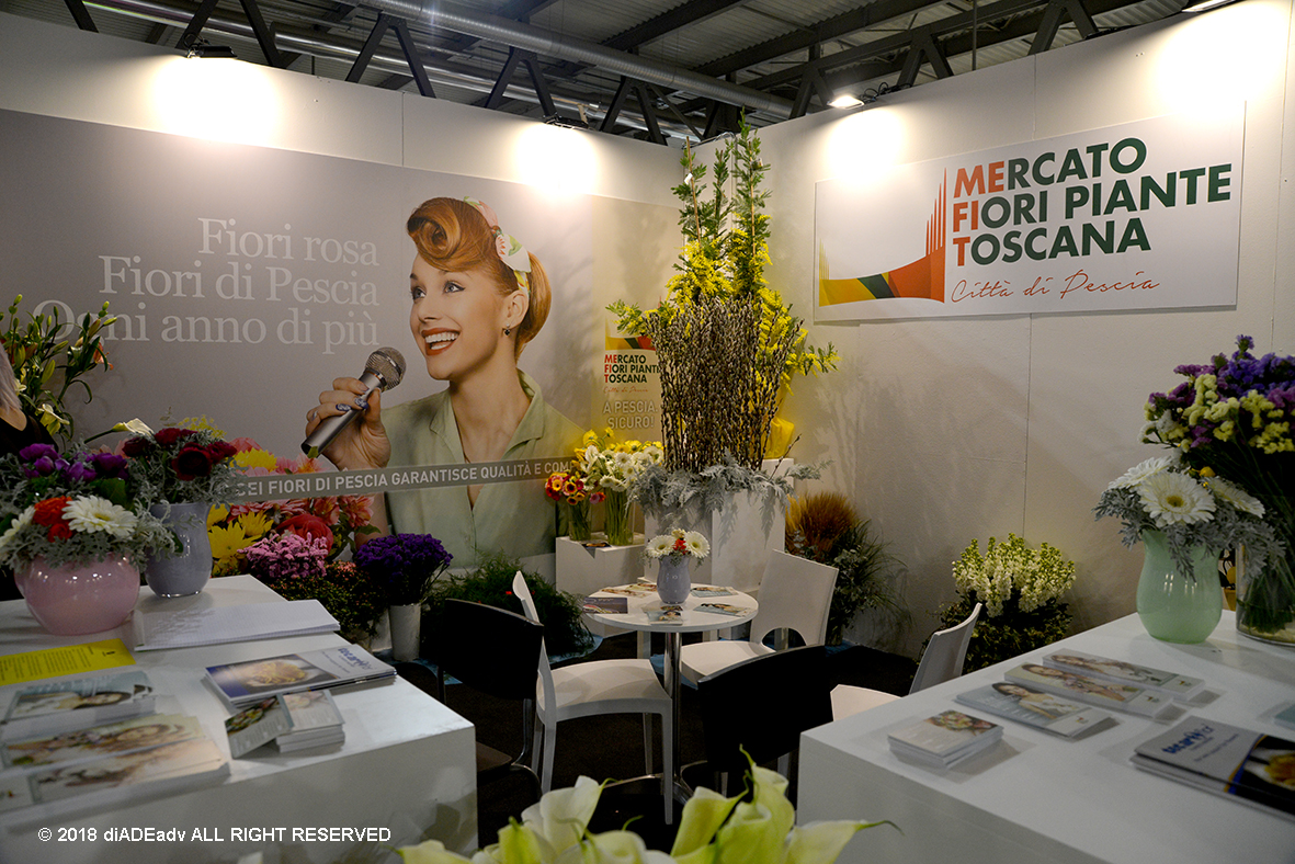 MyPlant & Garden 2018-9