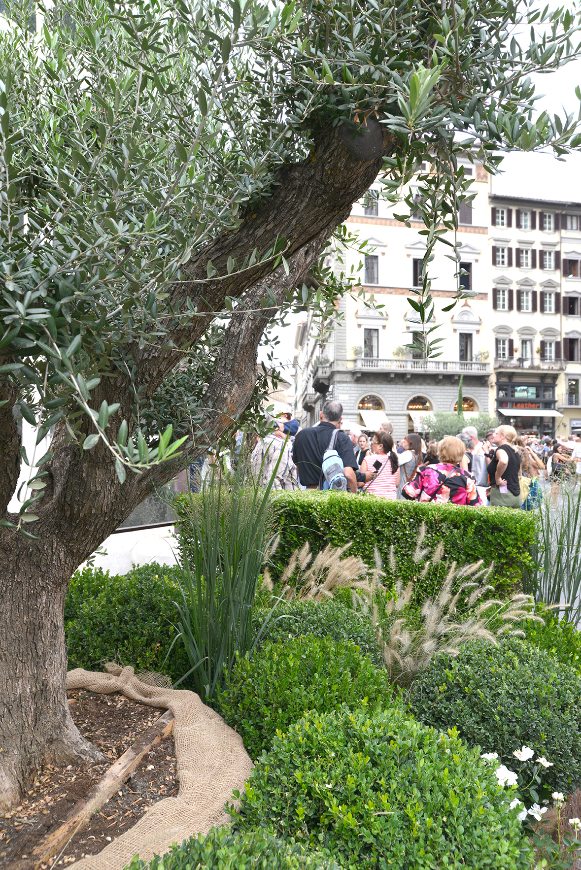 Inaugurazione delle installazioni Green al G20 di Firenze / Istallazioni-16