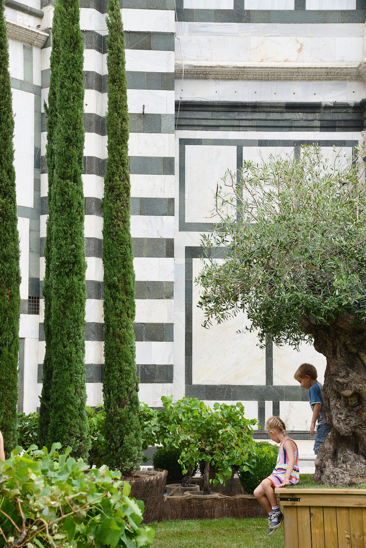 Inaugurazione delle installazioni Green al G20 di Firenze / Istallazioni-35