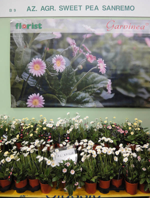 Euroflora 2011_24